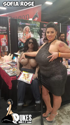 sex toys online shopping